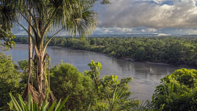 Into the heart of the Amazon