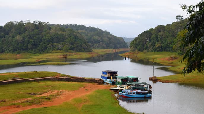 Periyar-Wildreservat in Thekkady
