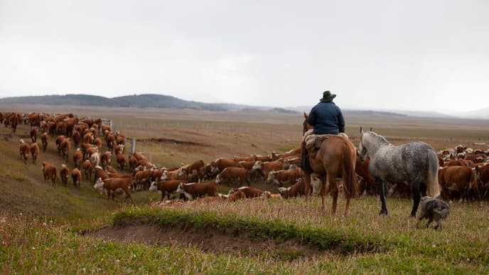 Return to rural ranch living