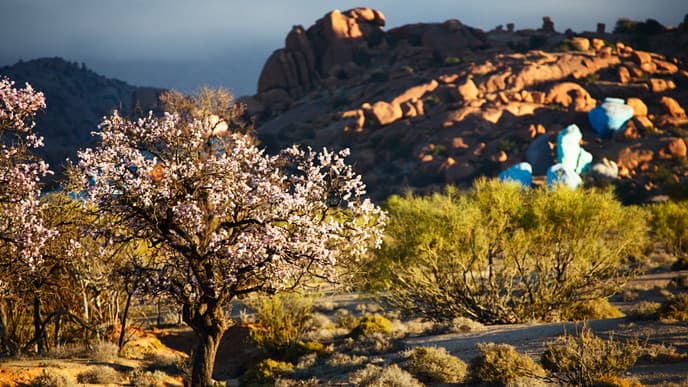 Venture deep into the Anti-Atlas