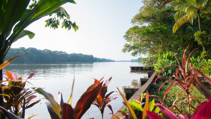Auf nach Tortuguero in die Nordkaribik