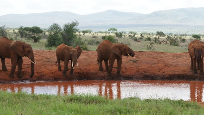Weiterfahrt 'gen Westen
