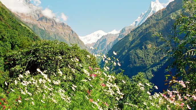 Start ins Trekking Abenteuer