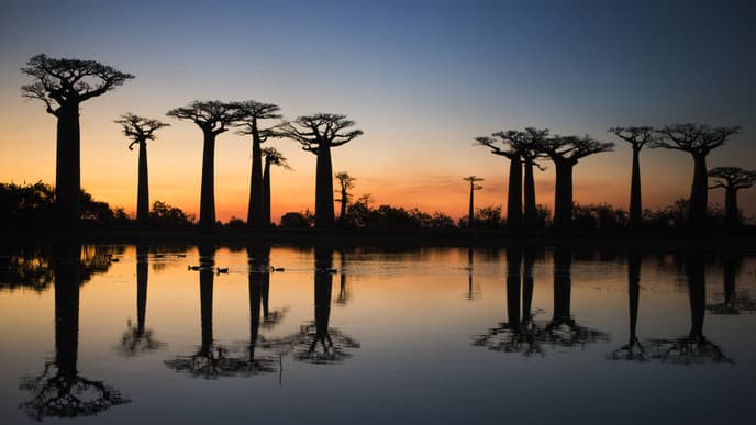 Embark On A Road Trip to Morondava