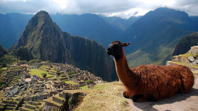 Highlight Machu Picchu