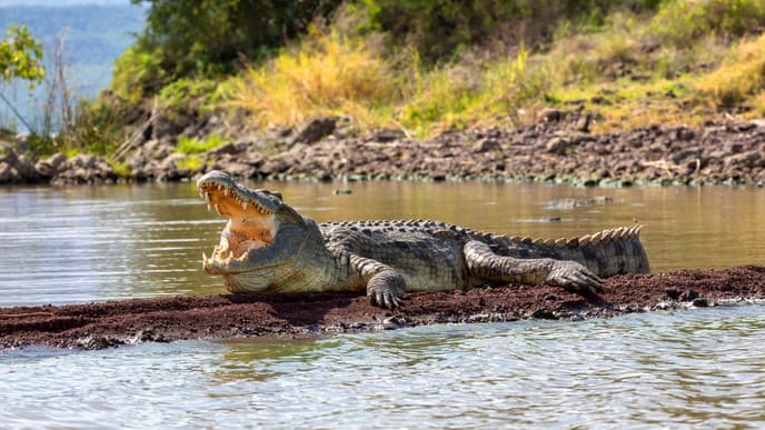 Lake safari & village visiting