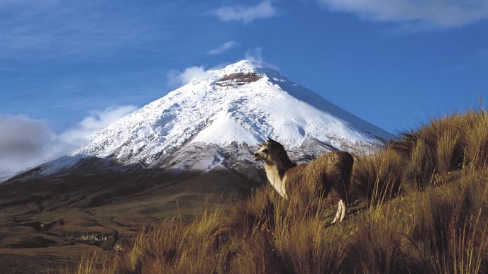 Journey to the Cotopaxi National Park