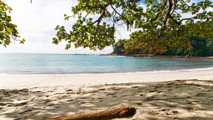 Entdeckungstour Nationalpark Manuel Antonio