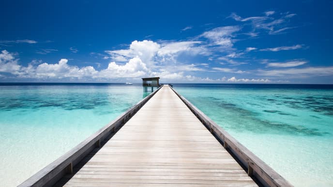 Go Snorkeling in Crystal Clear Waters