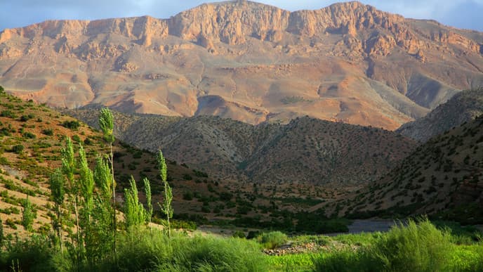 Journey across desert sands