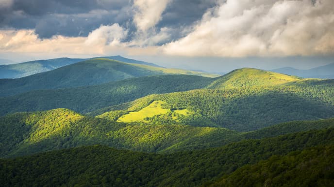 Wild adventures in Cockscomb Basin