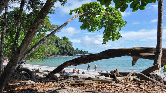 Zum Manuel Antonio Nationalpark