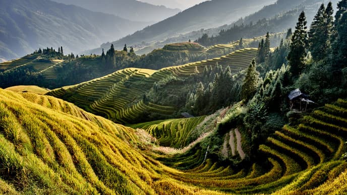 Head Deeper into Terraced Farmlands