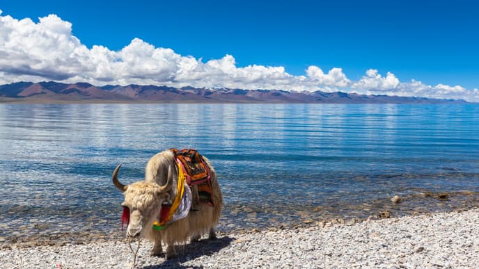 Gaze at the Heavenly Namtso Lake