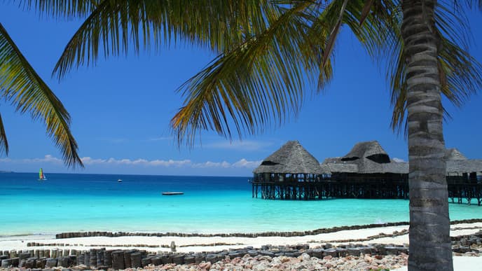 Sports or Relaxation in Zanzibar — What Will You Choose?