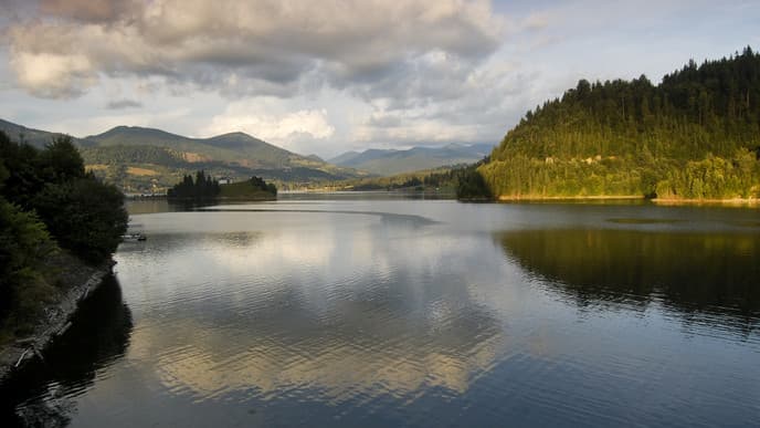 Step into Dracula's Story!