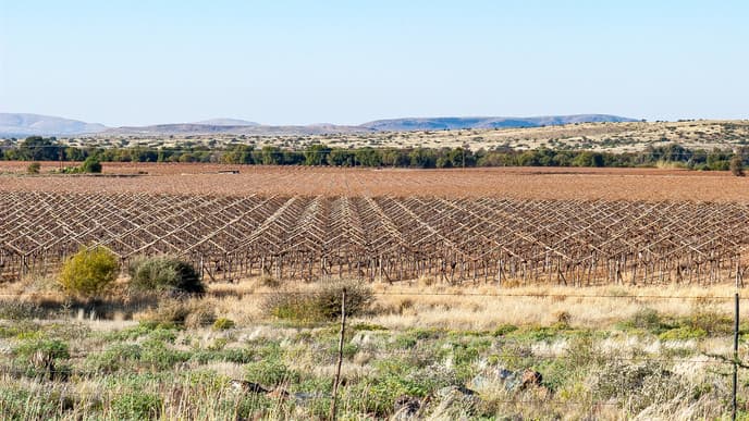 Spannende Kolonialgeschichte in Upington