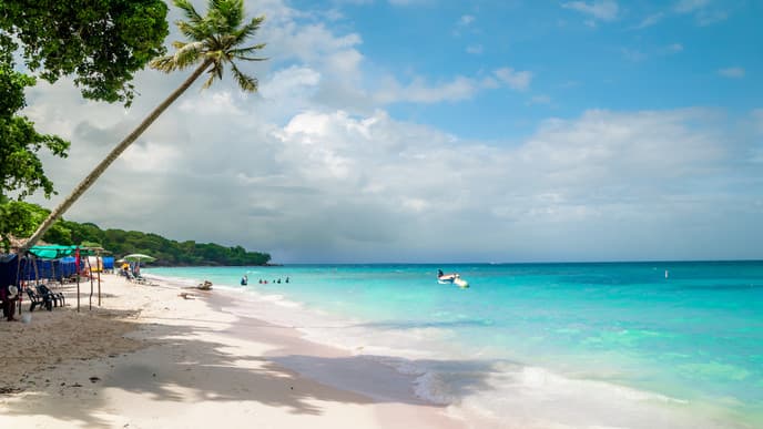 Succumb to the stunning paradise of Isla Barú