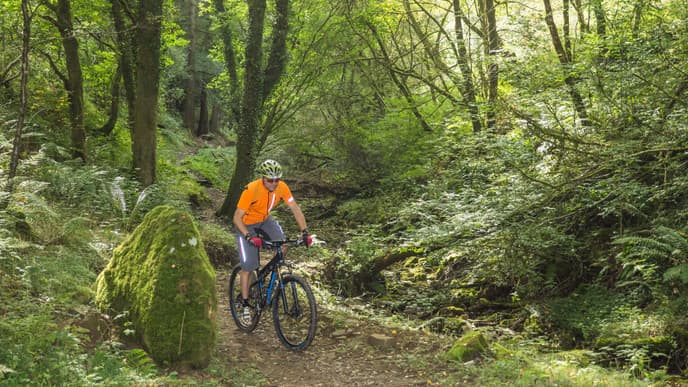 Cycling through Arusha National Park