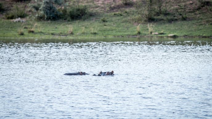 Safaritag im Game Reserve