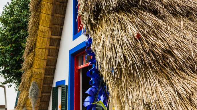 Be Enchanted By Santana