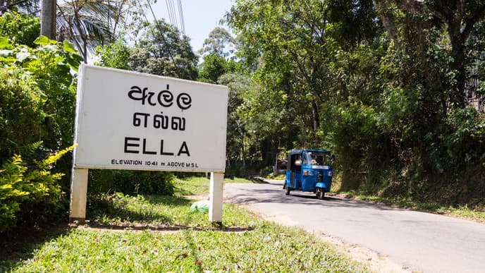Visit an artisan tea estate