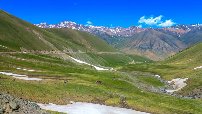 Im Grünen entspannen