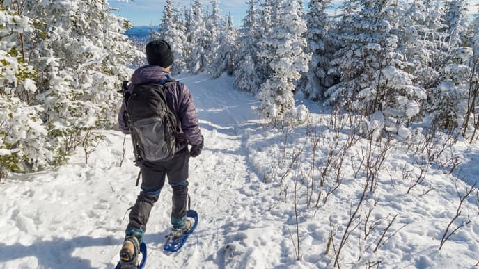 Beautiful snow-shoe bog hike