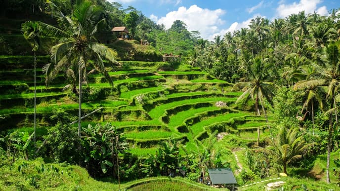 Spectacular spirituality of Ubud