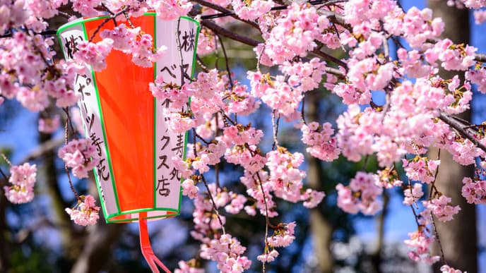 Yōkoso - Willkommen