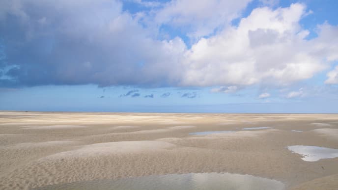 Horse riding & sand yachting