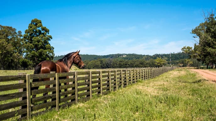 Spend the day on a ranch with gauchos