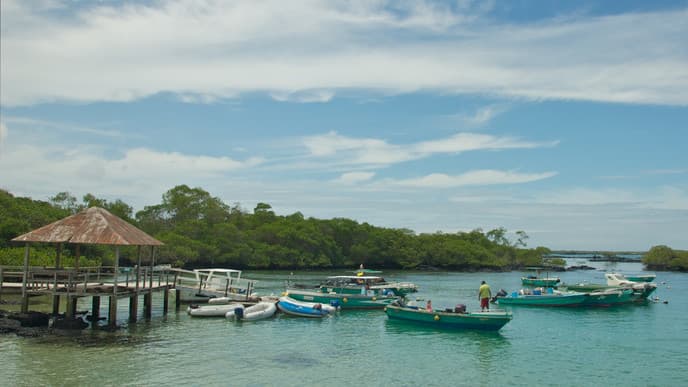 A day on Isla Isabela