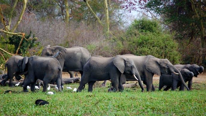Onwards to Liwonde National Park