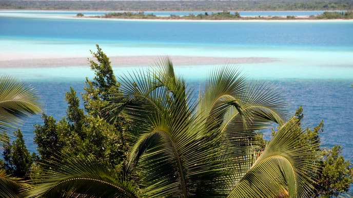 Travel to Gorgeous Calakmul