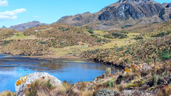 Herrliche Natur auf dem Weg zur Küste