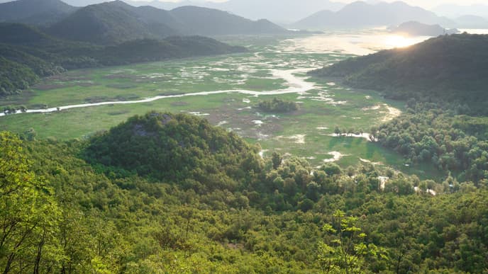 Easy paddling in a birdwatchers' paradise