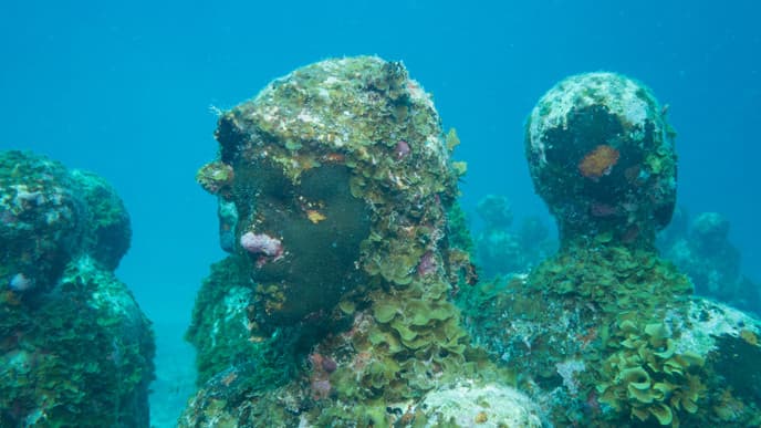 Live the Island Life