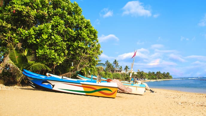 The gardens & wildlife of Bentota