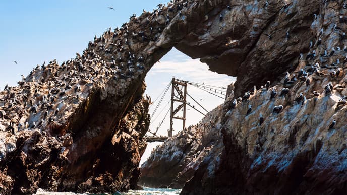 A striking journey to Nazca