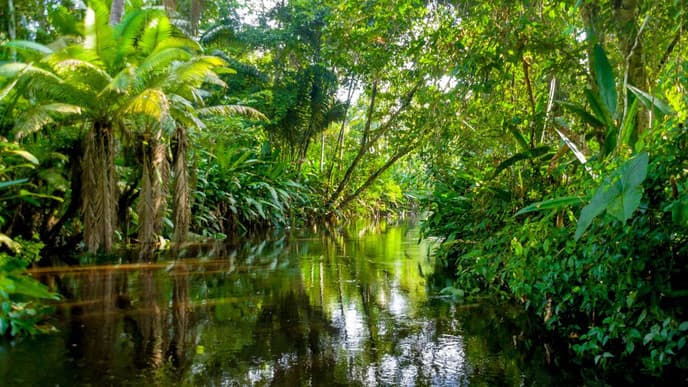 A memorable Amazon adventure