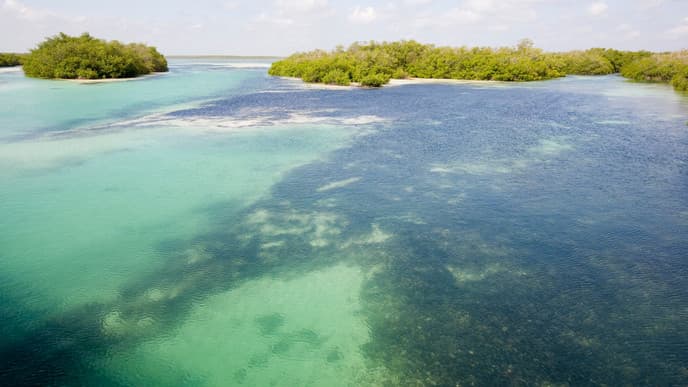 Explore the Sian Ka'an Reserve