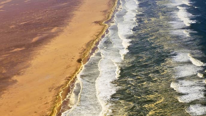 A final ride through the desert