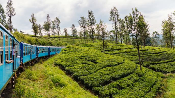Journey to the highlands