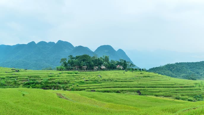 Trekking im Pu Luong Reservat