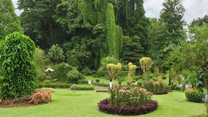 Zugreise durch malerische Landschaften