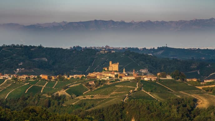 Truffle hunting in Alba