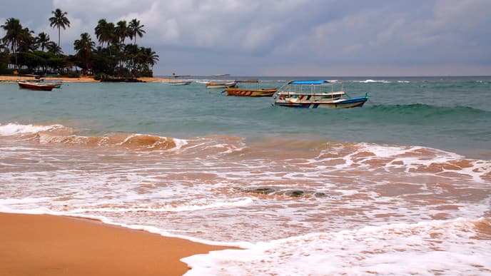 Schildkröten oder Bootsfahrt?