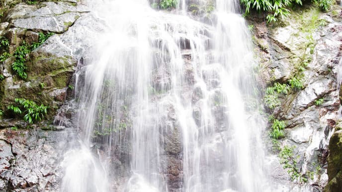 Tour a Cacao Plantation