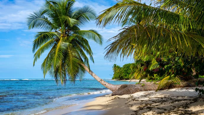 Free day of island life